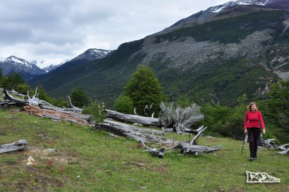 Trecho aberto da trilha para o Glaciar do Rio Mosco, na região de Villa O'Higgins, no sul do Chile